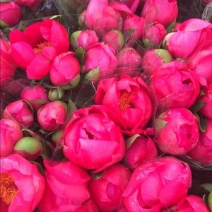 Meet your Posher, NB